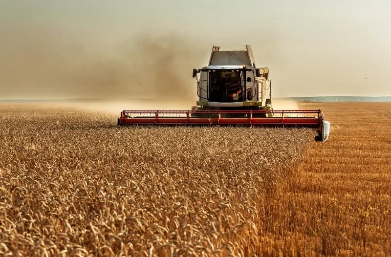 Agricultura e lavoura